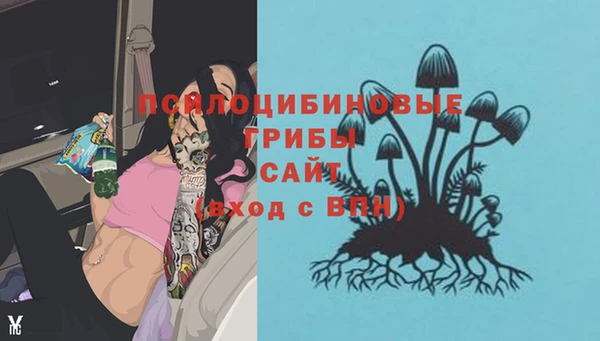 ALPHA PVP Алзамай
